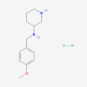 N-(4-Methoxybenzyl)piperidin-3-amine hydrochloride chemical structure (CAS 1353945-93-3)