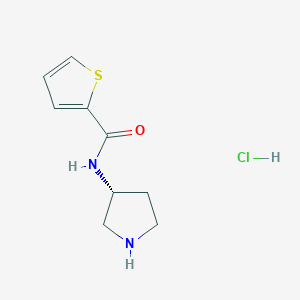(R)-N-(Pyrrolidin-3-yl)thiophene-2-carboxamide hydrochloride chemical structure (CAS 1354010-59-5)