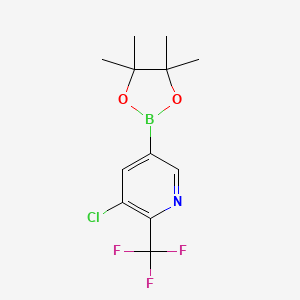 3-Chloro-5-(4,4,5,5-tetramethyl-1,3,2-dioxaborolan-2-yl)-2-(trifluoromethyl)pyridine chemical structure (CAS 1355067-84-3)