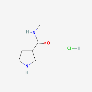 N-Methylpyrrolidine-3-carboxamide hydrochloride chemical structure (CAS 1361115-18-5)