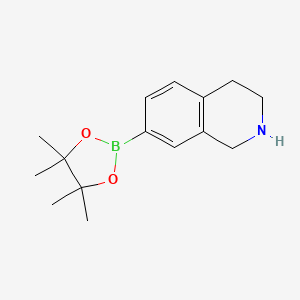 7-(4,4,5,5-Tetramethyl-1,3,2-dioxaborolan-2-yl)-1,2,3,4-tetrahydroisoquinoline chemical structure (CAS 1362243-37-5)