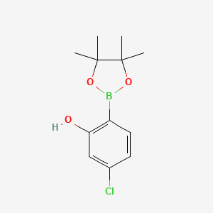 5-Chloro-2-(4,4,5,5-tetramethyl-1,3,2-dioxaborolan-2-yl)phenol chemical structure (CAS 1377503-12-2)