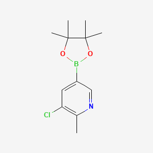 3-Chloro-2-methyl-5-(4,4,5,5-tetramethyl-1,3,2-dioxaborolan-2-yl)pyridine chemical structure (CAS 1383985-18-9)