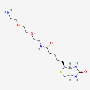 N-(2-(2-(2-Aminoethoxy)ethoxy)ethyl)-5-((3aS,4S,6aR)-2-oxohexahydro-1H-thieno[3,4-d]imidazol-4-yl)pentanamide chemical structure (CAS 138529-46-1)