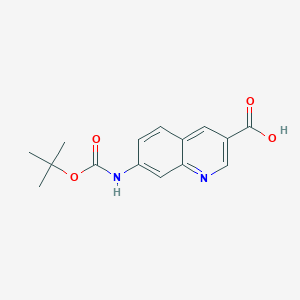 7-((tert-Butoxycarbonyl)amino)quinoline-3-carboxylic acid chemical structure (CAS 1416440-75-9)