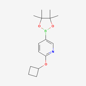 2-Cyclobutoxy-5-(4,4,5,5-tetramethyl-1,3,2-dioxaborolan-2-yl)pyridine chemical structure (CAS 1417625-27-4)