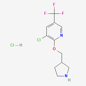 3-Chloro-2-(pyrrolidin-3-ylmethoxy)-5-(trifluoromethyl)pyridine hydrochloride chemical structure (CAS 1417794-08-1)