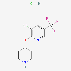 3-Chloro-2-(piperidin-4-yloxy)-5-(trifluoromethyl)pyridine hydrochloride chemical structure (CAS 1417794-23-0)