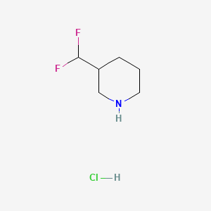 3-(Difluoromethyl)piperidine hydrochloride chemical structure (CAS 1427455-16-0)