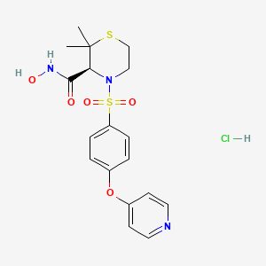 (S)-N-Hydroxy-2,2-dimethyl-4-((4-(pyridin-4-yloxy)phenyl)sulfonyl)thiomorpholine-3-carboxamide hydrochloride chemical structure (CAS 1435779-45-5)