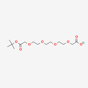 16,16-Dimethyl-14-oxo-3,6,9,12,15-pentaoxaheptadecanoic acid chemical structure (CAS 1442466-57-0)