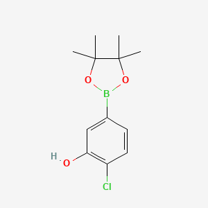 2-Chloro-5-(4,4,5,5-tetramethyl-1,3,2-dioxaborolan-2-yl)phenol chemical structure (CAS 1443151-85-6)