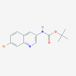 tert-Butyl (7-bromoquinolin-3-yl)carbamate chemical structure (CAS 1447607-37-5)