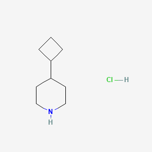 4-Cyclobutylpiperidine hydrochloride chemical structure (CAS 1448682-52-7)