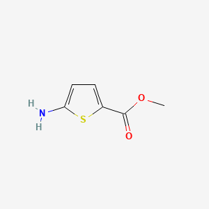 Methyl 5-aminothiophene-2-carboxylate chemical structure (CAS 14597-58-1)