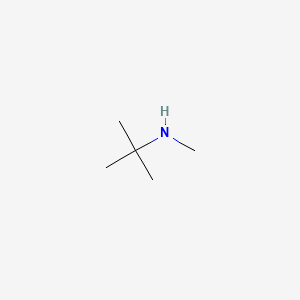 N-Methyl-tert-butylamine chemical structure (CAS 14610-37-8)