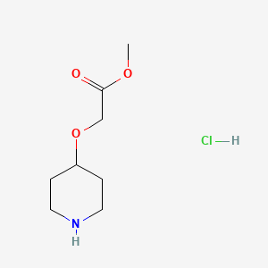 Methyl 2-(piperidin-4-yloxy)acetate hydrochloride chemical structure (CAS 146117-95-5)