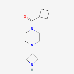 (4-(Azetidin-3-yl)piperazin-1-yl)(cyclobutyl)methanone chemical structure (CAS 1489897-91-7)