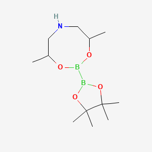 4,8-Dimethyl-2-(tetramethyl-1,3,2-dioxaborolan-2-yl)-1,3,6,2-dioxazaborocane chemical structure (CAS 1536530-95-6)