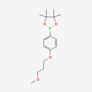 2-(4-(3-Methoxypropoxy)phenyl)-4,4,5,5-tetramethyl-1,3,2-dioxaborolane chemical structure (CAS 1580442-17-6)