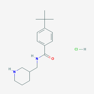 4-tert-Butyl-N-[(piperidin-3-yl)methyl]benzamide hydrochloride chemical structure (CAS 1582575-26-5)