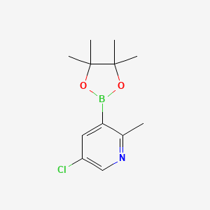 5-Chloro-2-methyl-3-(4,4,5,5-tetramethyl-1,3,2-dioxaborolan-2-yl)pyridine chemical structure (CAS 1621225-24-8)