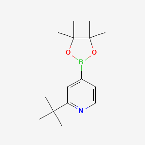 2-(tert-Butyl)-4-(4,4,5,5-tetramethyl-1,3,2-dioxaborolan-2-yl)pyridine chemical structure (CAS 1627722-65-9)