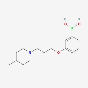 (4-Methyl-3-(3-(4-methylpiperidin-1-yl)propoxy)phenyl)boronic acid chemical structure (CAS 1704064-30-1)