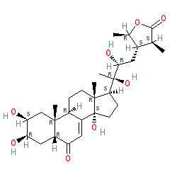 (3S,4S,5R)-4-((2R,3R)-2,3-Dihydroxy-3-((2S,3R,5R,9R,10R,13R,17S)-2,3,14-trihydroxy-10,13-dimethyl-6-oxo-2,3,4,5,6,9,10,11,12,13,14,15,16,17-tetradecahydro-1H-cyclopenta[a]phenanthren-17-yl)butyl)-5-hydroxy-3-methyltetrahydro-2H-pyran-2-one chemical structure (CAS 17086-76-9)