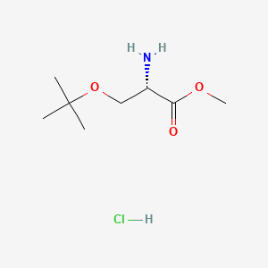 H-Ser(tBu)-OMe.HCl chemical structure (CAS 17114-97-5)