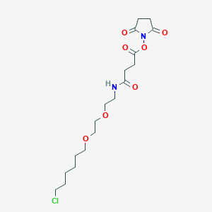 2,5-Dioxopyrrolidin-1-yl 4-((2-(2-((6-chlorohexyl)oxy)ethoxy)ethyl)amino)-4-oxobutanoate chemical structure (CAS 1803085-03-1)