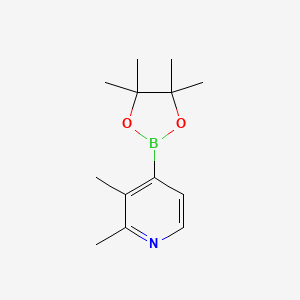 2,3-Dimethyl-4-(4,4,5,5-tetramethyl-1,3,2-dioxaborolan-2-yl)pyridine chemical structure (CAS 1815616-21-7)