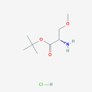 (S)-tert-Butyl 2-amino-3-methoxypropanoate hydrochloride chemical structure (CAS 1821839-04-6)