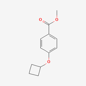Methyl 4-cyclobutoxybenzoate chemical structure (CAS 1870333-37-1)