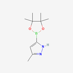 5-Methyl-3-(4,4,5,5-tetramethyl-1,3,2-dioxaborolan-2-yl)-1H-pyrazole chemical structure (CAS 1888441-67-5)