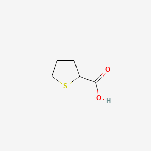 Tetrahydrothiophene-2-carboxylic acid chemical structure (CAS 19418-11-2)