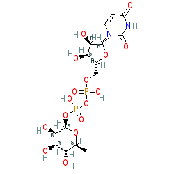 ((2R,3S,4R,5R)-5-(2,4-Dioxo-3,4-dihydropyrimidin-1(2H)-yl)-3,4-dihydroxytetrahydrofuran-2-yl)methyl ((2R,3R,4R,5R,6S)-3,4,5-trihydroxy-6-methyltetrahydro-2H-pyran-2-yl) dihydrogen diphosphate chemical structure (CAS 1955-26-6)