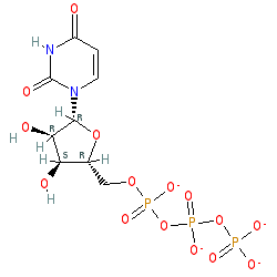 Uridine-5'-triphosphoric acid trisodium salt chemical structure (CAS 19817-92-6)