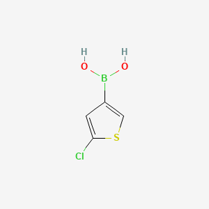 (5-Chlorothiophen-3-yl)boronic acid chemical structure (CAS 199659-23-9)
