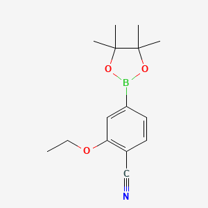 2-Ethoxy-4-(4,4,5,5-tetramethyl-1,3,2-dioxaborolan-2-yl)benzonitrile chemical structure (CAS 2098425-93-3)