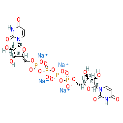 DIquafosol (tetrasodium) chemical structure (CAS 211427-08-6)