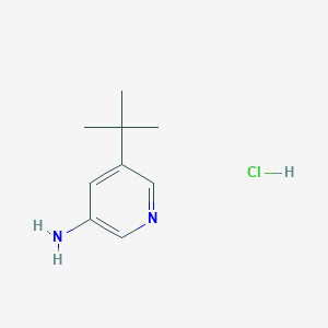 5-(tert-Butyl)pyridin-3-amine hydrochloride chemical structure (CAS 2135331-65-4)