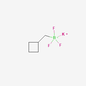 Potassium (cyclobutylmethyl)trifluoroborate chemical structure (CAS 2135480-21-4)