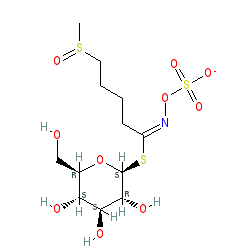 (((5-(Methylsulfinyl)-1-(((2S,3R,4S,5S,6R)-3,4,5-trihydroxy-6-(hydroxymethyl)tetrahydro-2H-pyran-2-yl)thio)pentylidene)amino)oxy)sulfonic acid chemical structure (CAS 21414-41-5)