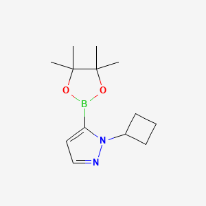 1-Cyclobutyl-5-(4,4,5,5-tetramethyl-1,3,2-dioxaborolan-2-yl)-1H-pyrazole chemical structure (CAS 2227297-73-4)