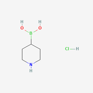 Piperidin-4-ylboronic acid hydrochloride chemical structure (CAS 2306405-20-7)