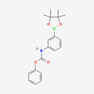 Phenyl (3-(4,4,5,5-tetramethyl-1,3,2-dioxaborolan-2-yl)phenyl)carbamate chemical structure (CAS 2374923-62-1)