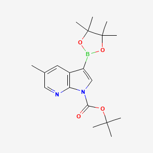 tert-Butyl 5-methyl-3-(4,4,5,5-tetramethyl-1,3,2-dioxaborolan-2-yl)-1H-pyrrolo[2,3-b]pyridine-1-carboxylate chemical structure (CAS 2377608-55-2)