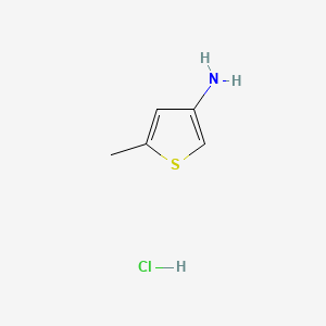 5-Methylthiophen-3-amine hydrochloride chemical structure (CAS 24030-01-1)