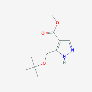 Methyl 3-(tert-butoxymethyl)-1H-pyrazole-4-carboxylate chemical structure (CAS 2411637-71-1)
